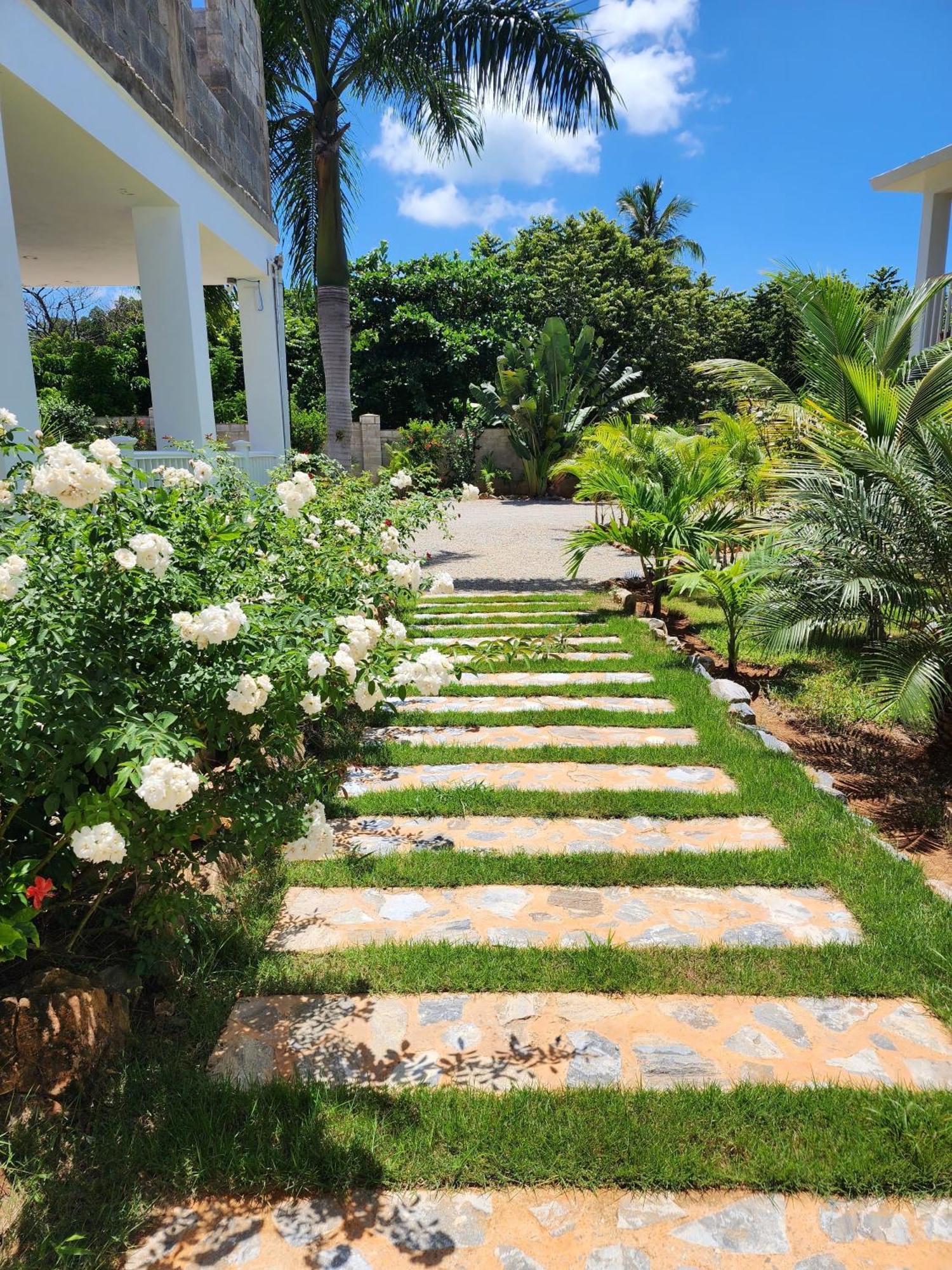 Bella Villa Room With Large Pool And Close To Beach Las Galeras Exterior photo
